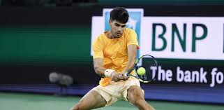 Trend Google: djokovic
