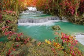 Résultat de recherche d'images pour "provence amours gays dans les canniers"