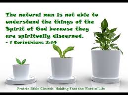 Image result for 1 Corinthians   3: