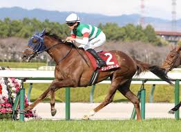 フィリーズＲ勝利のギリーズボールは桜花賞を回避 体調が整わないため（日刊スポーツ）