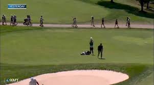 alejandro tosti caddie cliff ellis split Picture