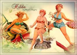 Resultado de imagem para chubby pin up