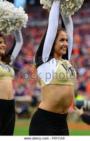 Image result for wfu cheerleader