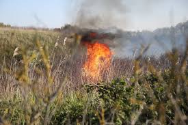 Grote duinbrand tussen Scheveningen en Kijkduin: Brandweer schaalt op naar zeer grote brand