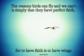 wings (quotes,photography,bird,wings,faith,j.m. barrie) | poetic ... via Relatably.com