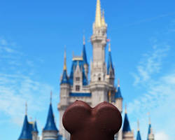 Image of Disneyland Mickeyshaped ice cream bars