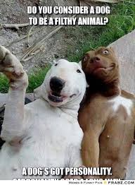 Image result for Animal Meme