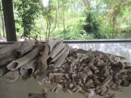 Image result for cambodia history killing fields