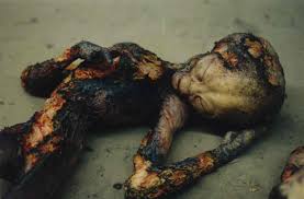 「ロズウェル」の画像検索結果