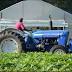 Healthy Living Farms strives to nourish the body, mind and soul of ...