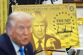'Unprecedented fundraising blitz': WSJ reveals Trump rakes in 'mystery money' millions