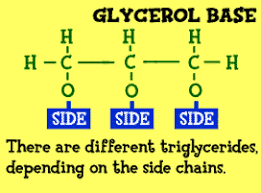 Image result for lipid