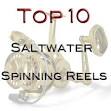 Saltwater Fishing Reel, Penn Reel, Shimano Reel TackleDirect