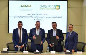 جريدة الاستثمار العربى - News update