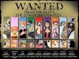 Image result for one piece