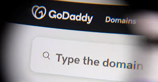 EXCLUSIVE: World's biggest domain seller fears India's fake site crackdown could damage internet
