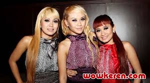 Hasil gambar untuk foto hot trio macan