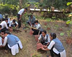 Image of Tree plantation drive at Gujarat Ayurved University