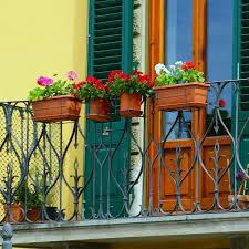 Este viernes llega a LIDL la planta que soporta muy bien el sol y llena de flores coloridas balcones y terrazas