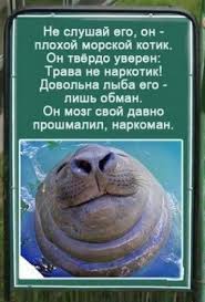 images?q=tbn:ANd9GcTkRxhBysApOaT78C0vxbr