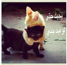 نتيجة بحث الصور عن صور مضحكة من الفيسبوك