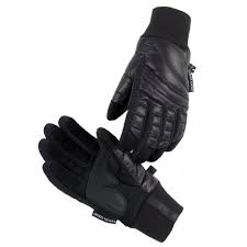 Résultat de recherche d'images pour "canada goose black label womens"