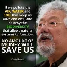 David Suzuki Quotes. QuotesGram via Relatably.com