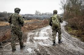 Polish Army Denies Plans for Intervention in Ukraine