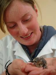 Department of Conservation aviculturist Liz Brown with a newly-hatched kaki (black stilt) chick from last year&#39;s breeding programme at Twizel. - department_of_conservation_aviculturist_liz_brown__4e1ed3c02b