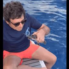 Patrick Bruel: Émotion Intense! Tortue Sauvée, Concert Inoubliable!