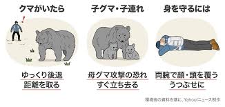 Yahoo!ニュース - News update