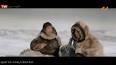 ویدئو برای فیلم سینمایی برف های خونین بدون سانسور