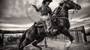 Image result for cowboy