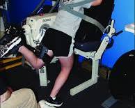 Image of Isokinetic hip extension machine