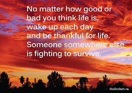 Image result for grateful quotes