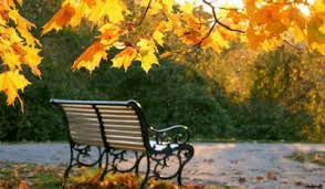 Image result for Mai Tôi Đi