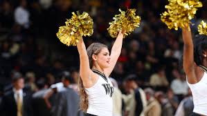 Image result for wfu cheerleader