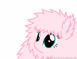 Fluffle Puff Imagens Images?q=tbn:ANd9GcTlIan-elIpXHdgt1LtuizogA1XWu_JA53OwZtf6D75lHXGp1jeNw