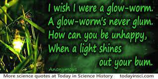 Insect Quotes - 45 quotes on Insect Science Quotes - Dictionary of ... via Relatably.com