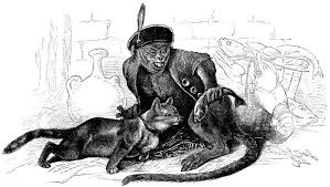 Bildergebnis für codex seraphinianus pdf