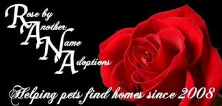 R&eacute;sultat de recherche d'images pour 