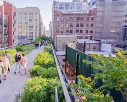 Image of High Line, NYC