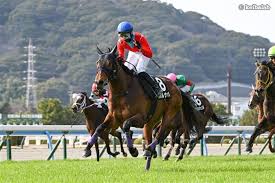 【函館記念】ハンデと年齢に要注意！大波乱の夏競馬で狙うべき絶好の穴馬！