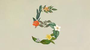 sonnet 5 Picture