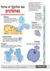 Protines : Qu est-ce que c est? Nutrition Nutriments Mieux-tre