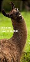 Image result for hi meme