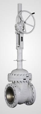 CRYOGENIC GLOBE VALVES - Kara Consulting Co.