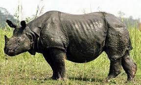 images?qtbnANd9GcTlxN2H5nxlNnXLuDHjenea152ItXlZ6xz2CW3lQD5sUHq349Yi