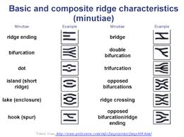 Résultat de recherche d'images pour "fingerprint types"