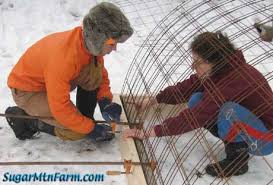 Image result for site:sugarmtnfarm.com chicken hoop house